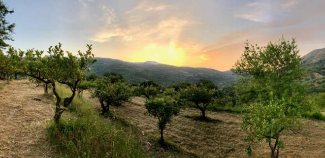 페티네오 Casa Migliaca 빌라 외부 사진